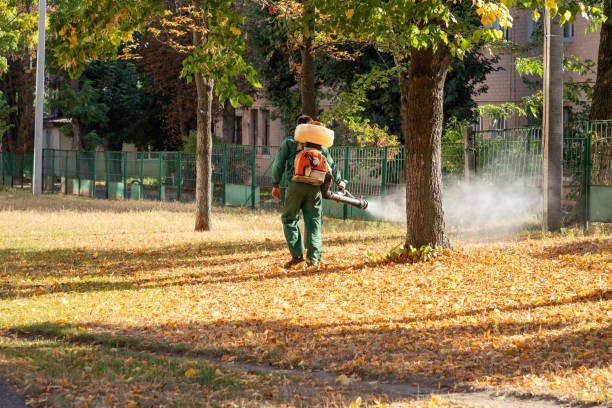 Best Wildlife Control Services  in Woodland Hills, UT